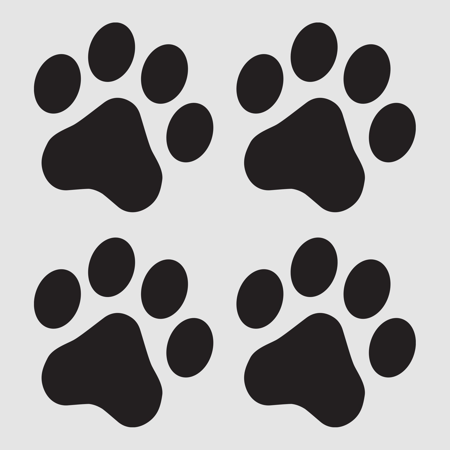 Paw Prints (4)