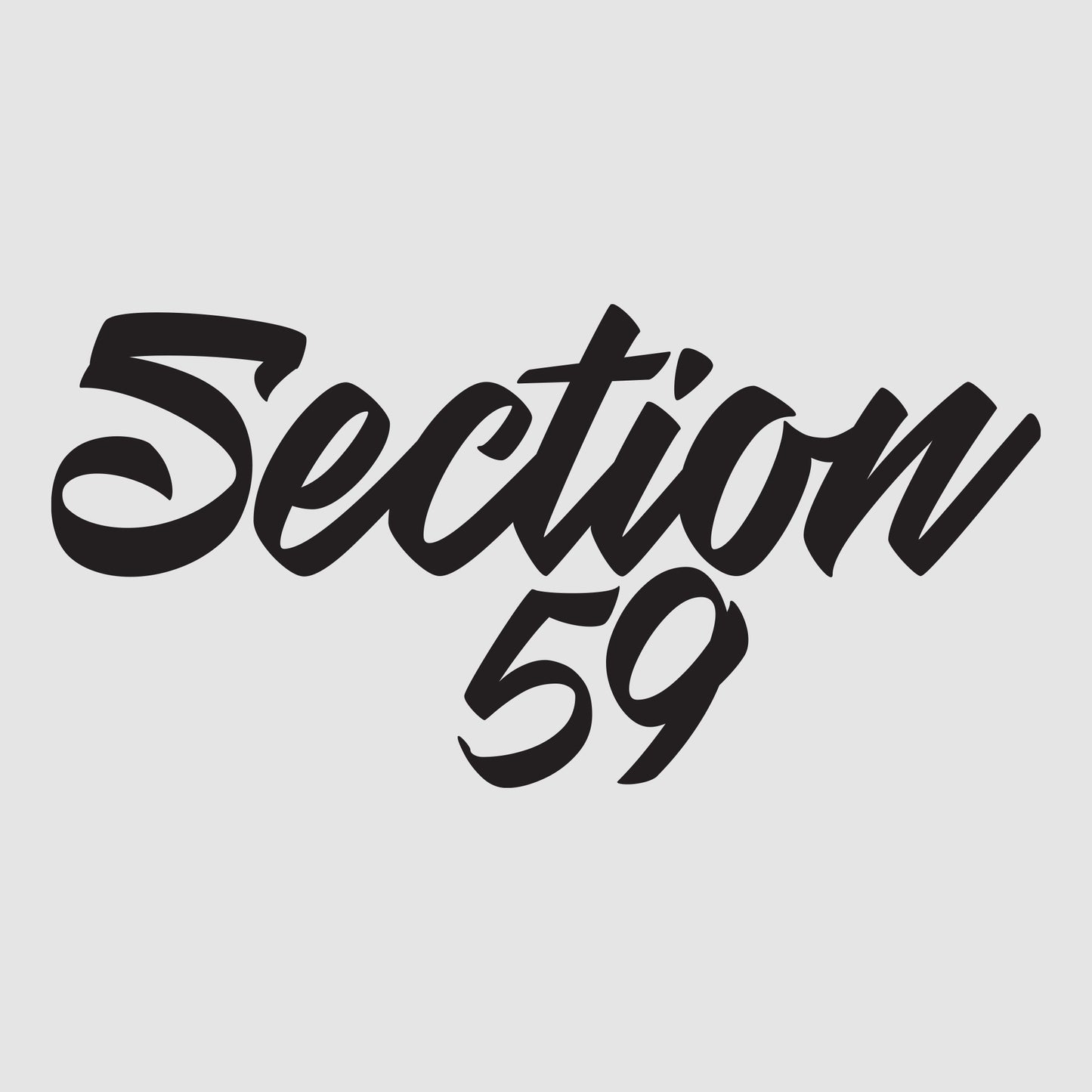Section59