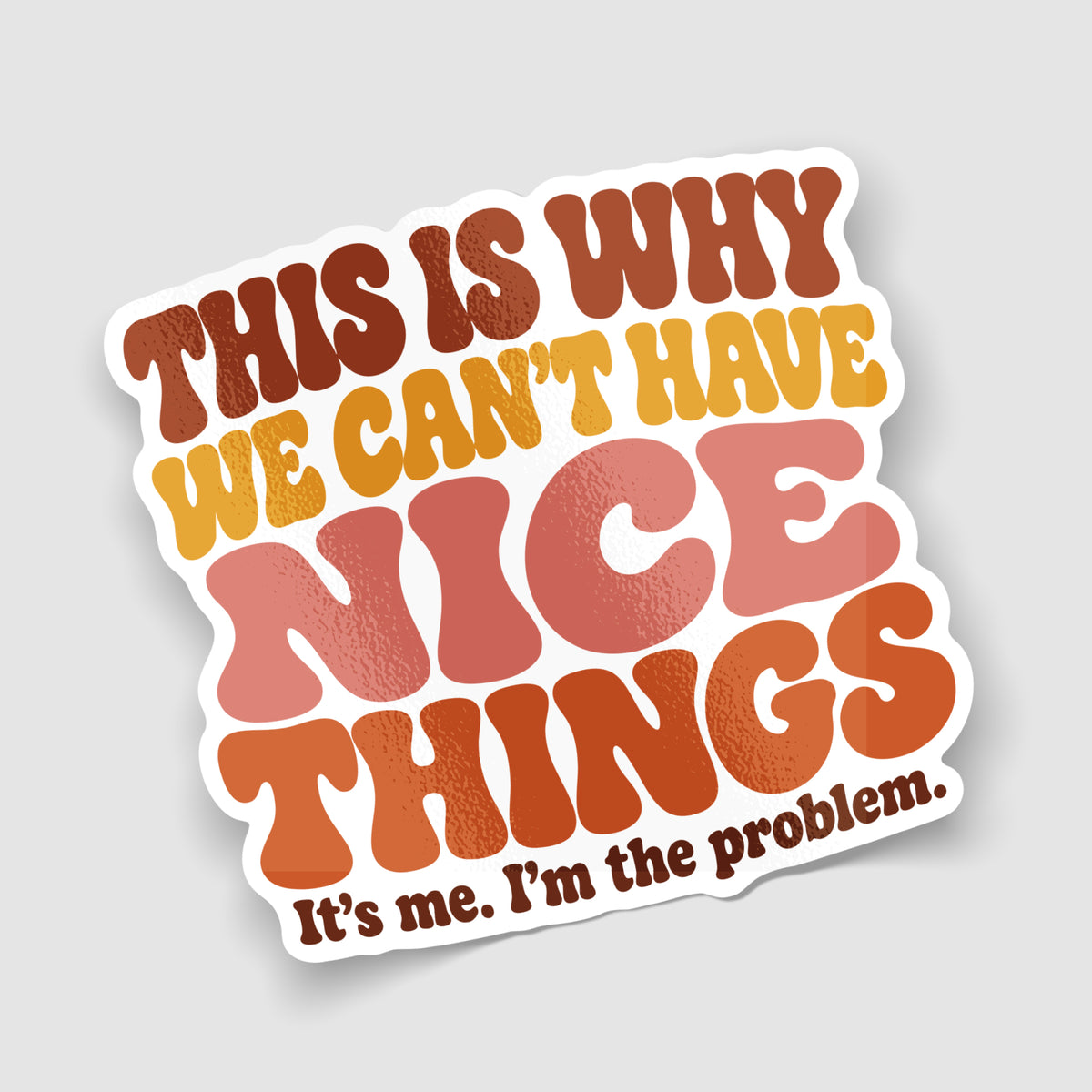 This Is Why We Can't Have Nice Things Funny Car Sticker