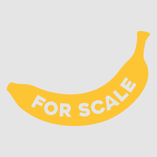 Banana For Scale