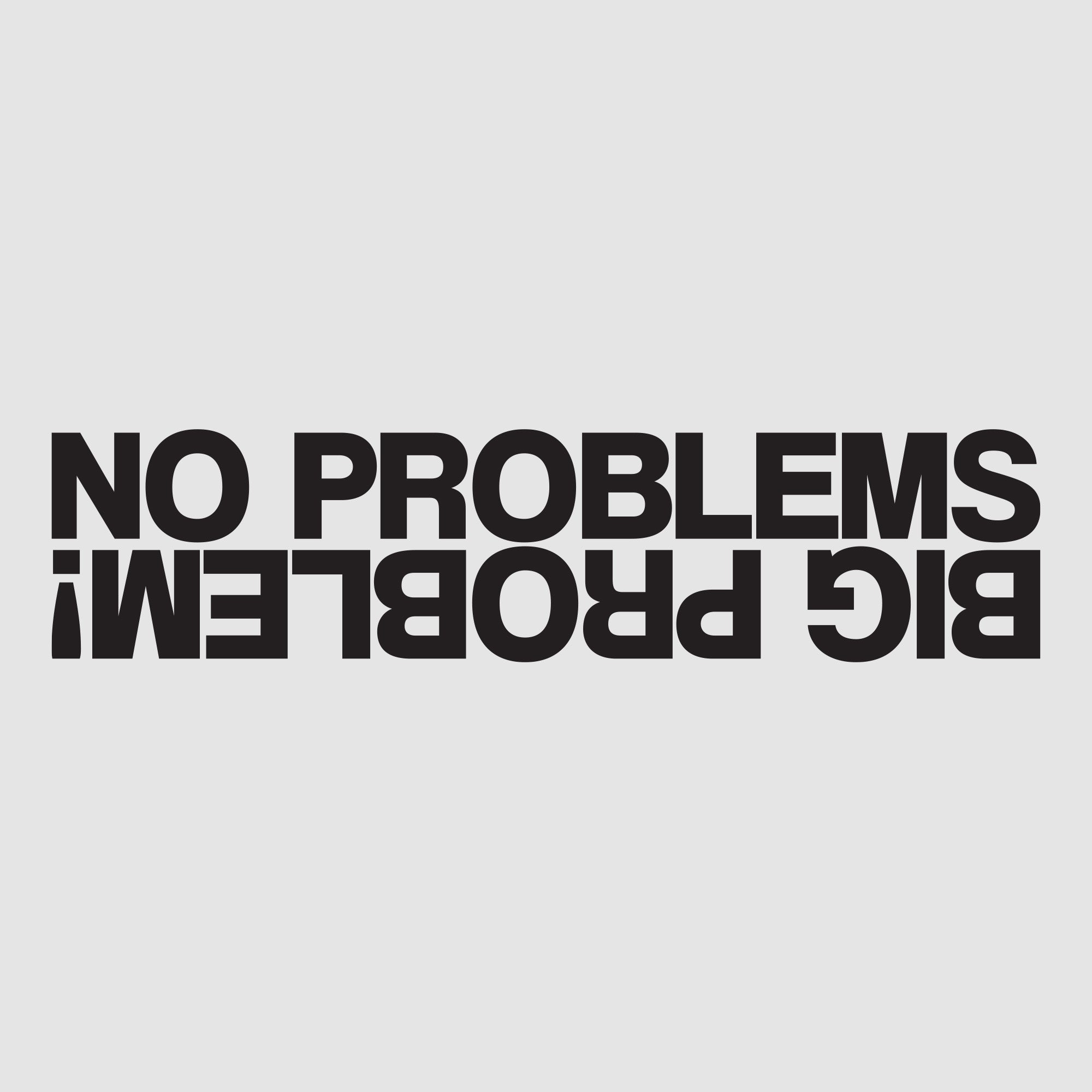 No Problem, Big Problem! | Custom Car Stickers