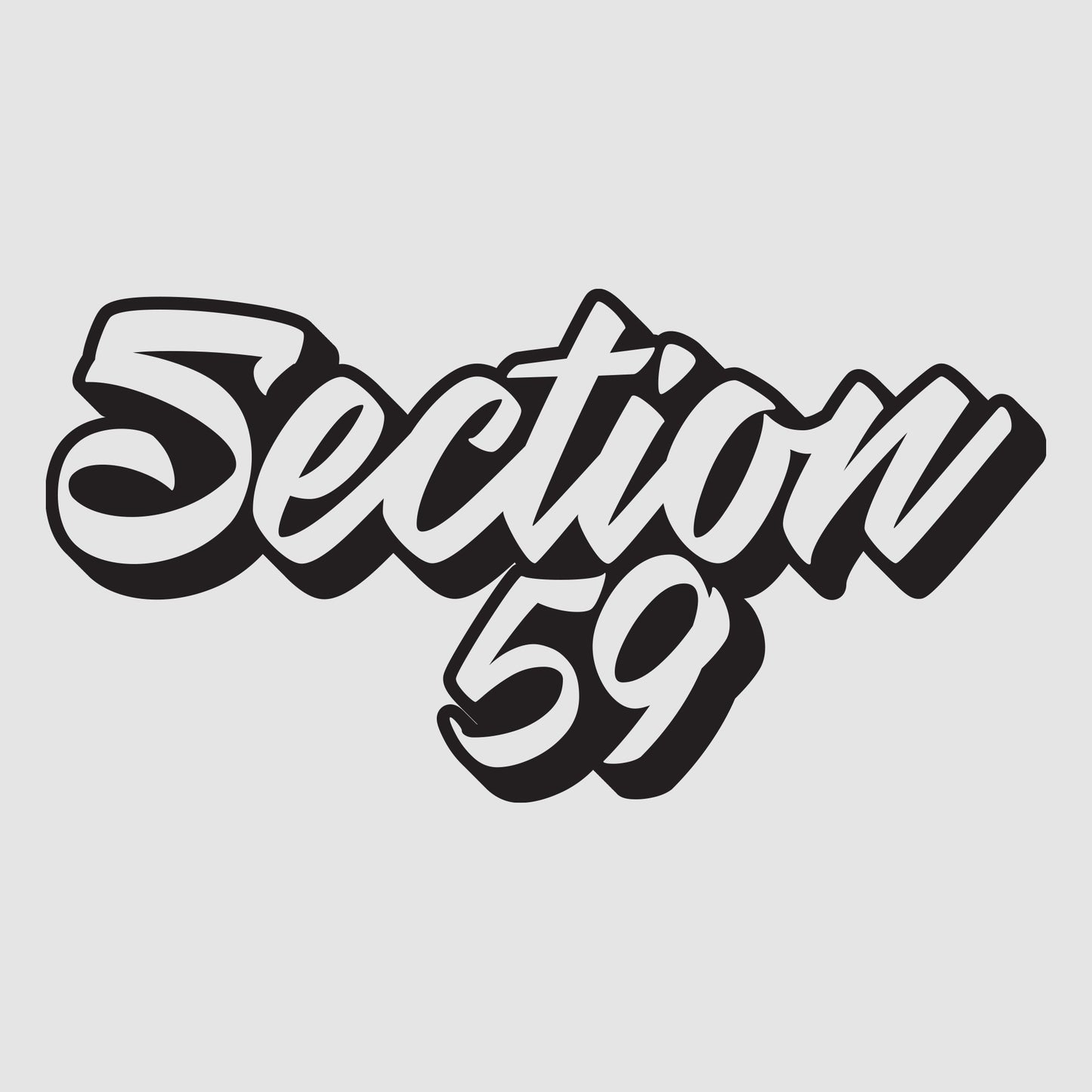Section59 Outlined